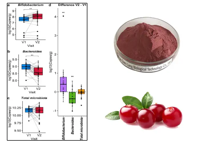 Extract Powder.jpg Extract Powder.jpg